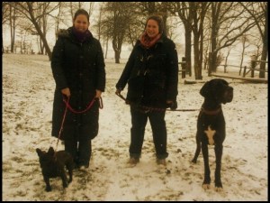 "Doggen" unter sich ;-)