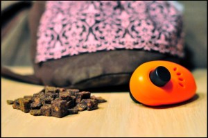 Clicker, Leckerlies & Beutel