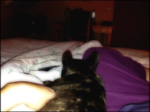 Wohlverdienter Feierabend