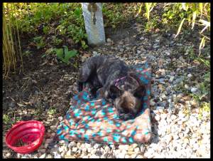 Mittagspause A-Praktikum